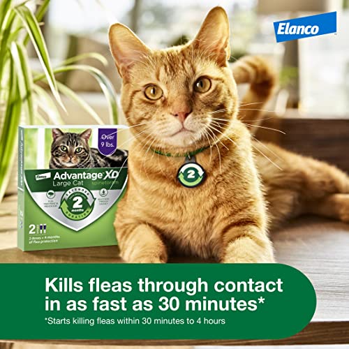 Large Cat Flea Prevention Treatment, 4 Topical Doses A2795