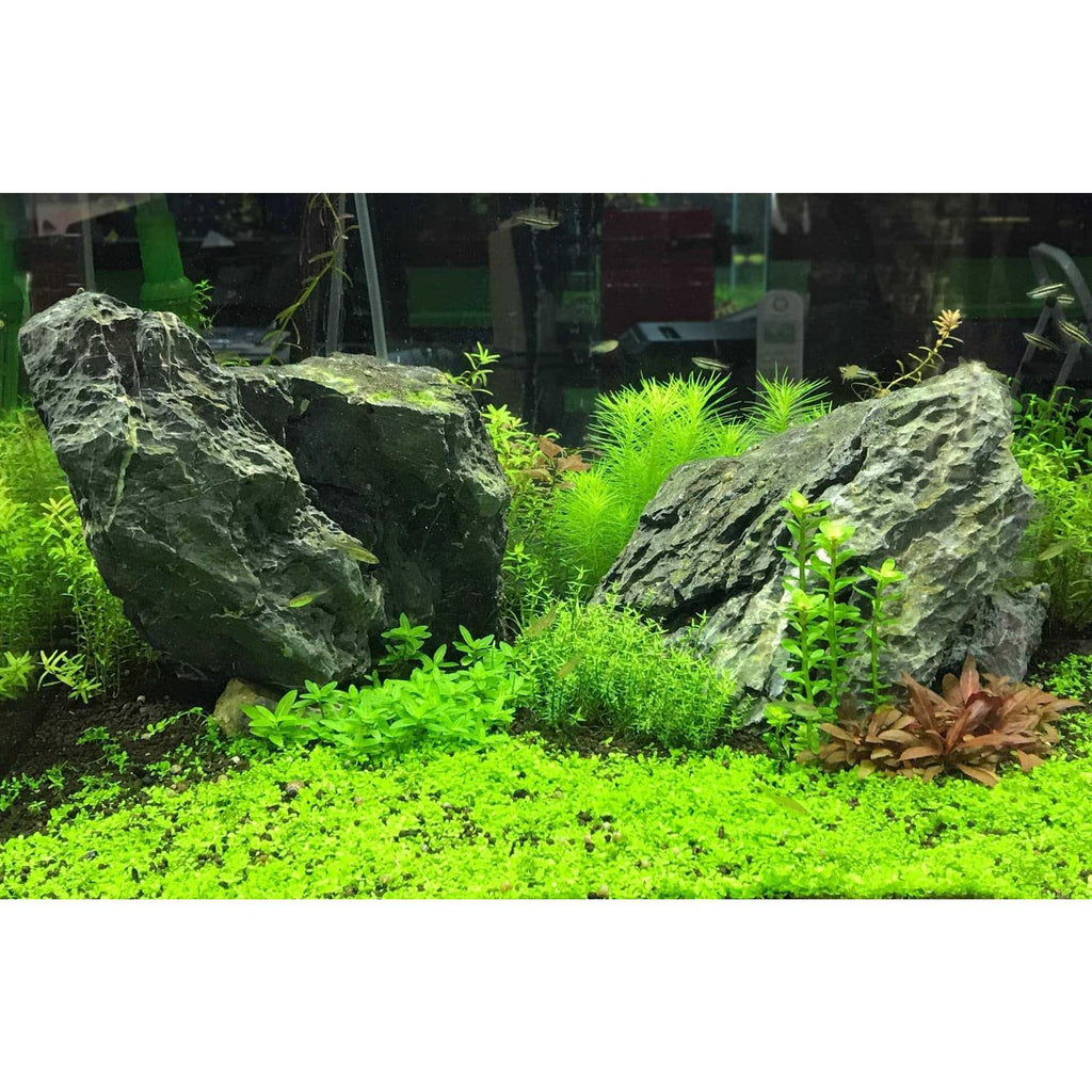 Potassium Seachem D65328