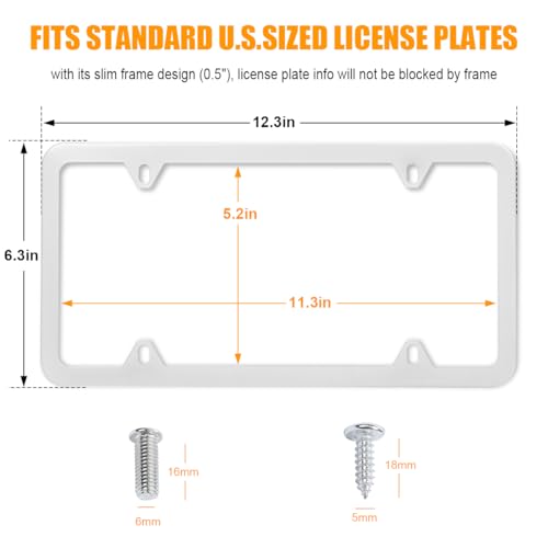 2 Pack Stainless Steel License Plate Frames with Screw Caps Z336