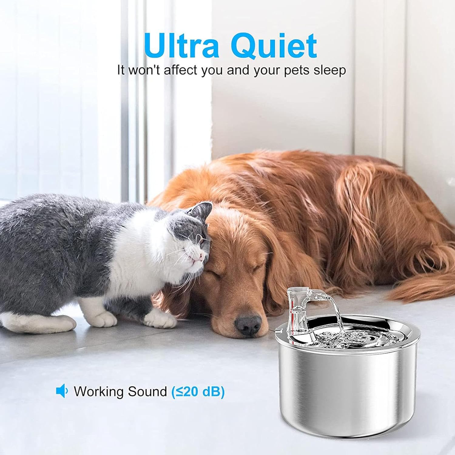 2L/67OZ 304 Stainless Steel Automatic Water Fountain G65262