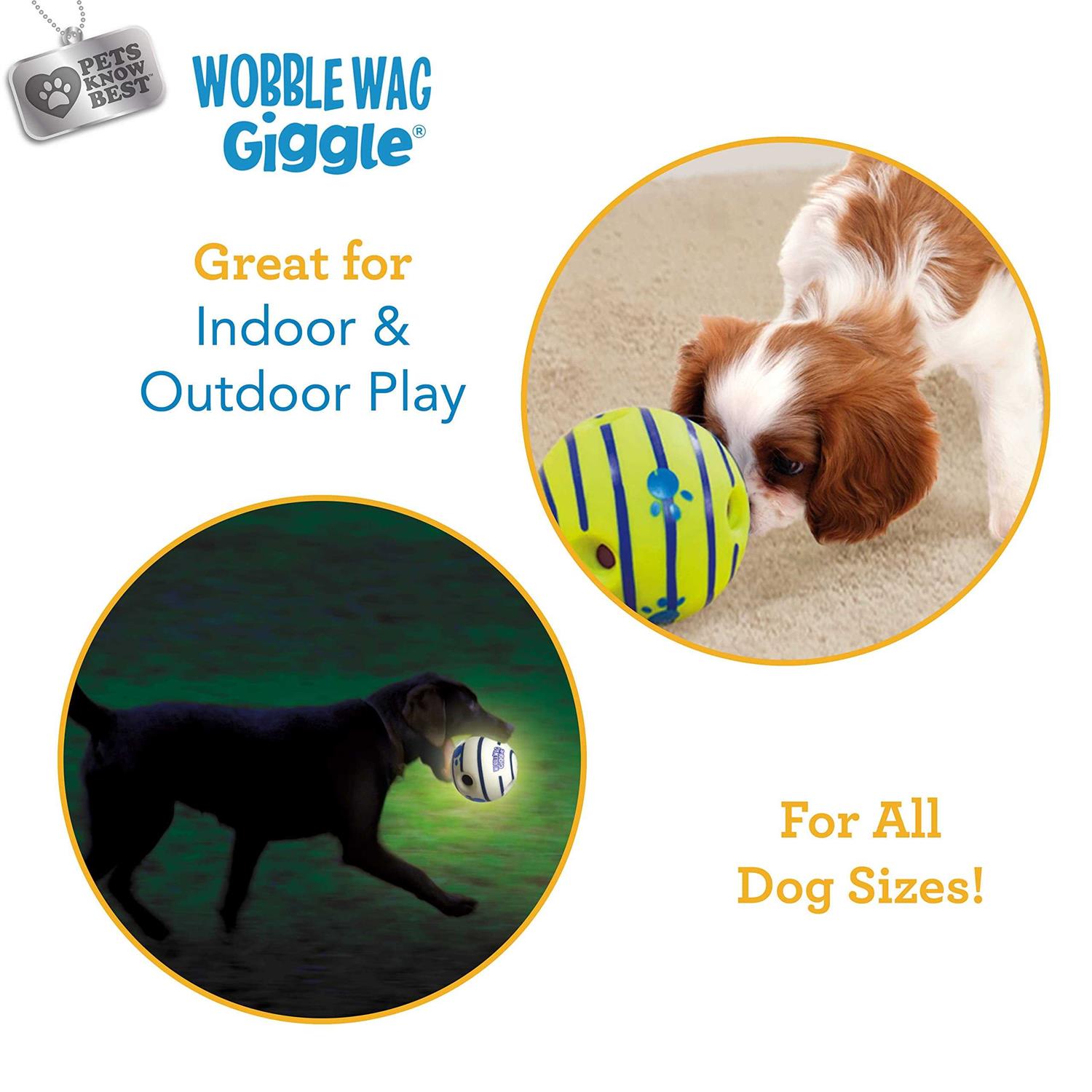2 Pack Pet Supplies C6695