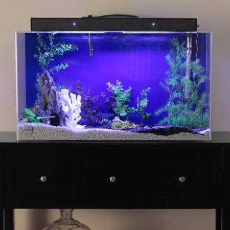 Rectangle Aquarium A34846
