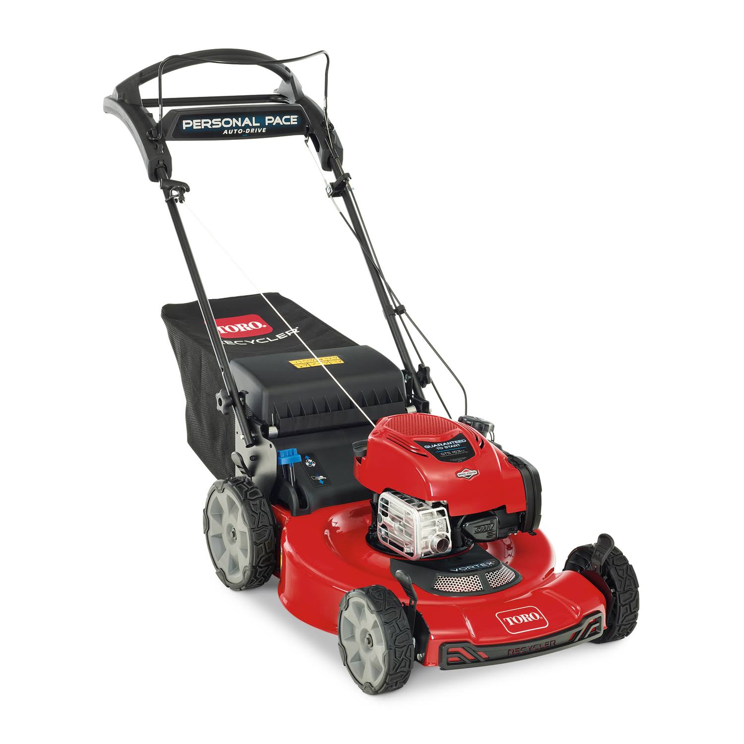 22 in. 163 CC GAS Self-Propelled Lawn Mower C6591
