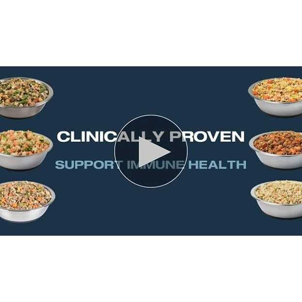 Critical Care Support Fresh Frozen Dog Food C226189