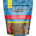 Mealworms Wild Bird Food D454