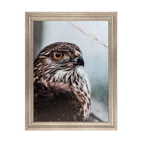 Muted Prosecco Gold Picture Frame Z7853