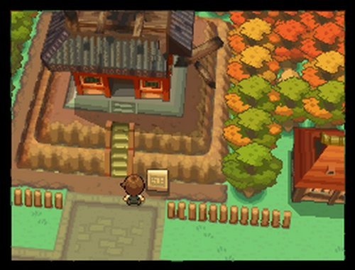 Pokemon SoulSilver Version K339184