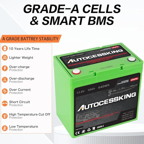 12V 100Ah LiFePO4 Lithium Battery with 100A BMS Z202
