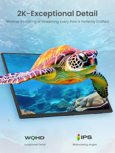 18.5 inch 120hz FHD Portable Monitor with VESA Kickstand HDR Speakers USB C Mini HDMI Y723
