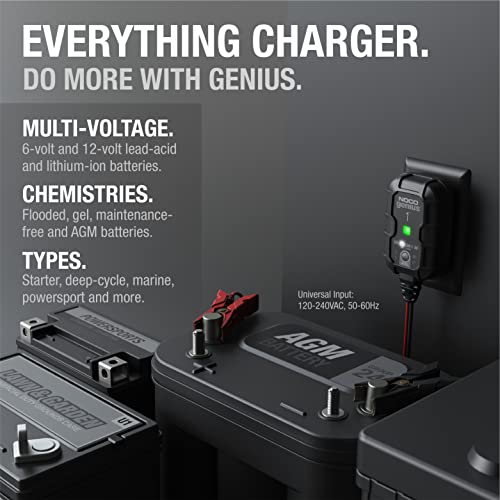 1A 6V/12V Smart Battery Charger D225