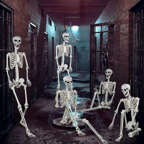 5.9ft Halloween Life Size Skeleton Plastic Human Bones with Movable Joints Q50339