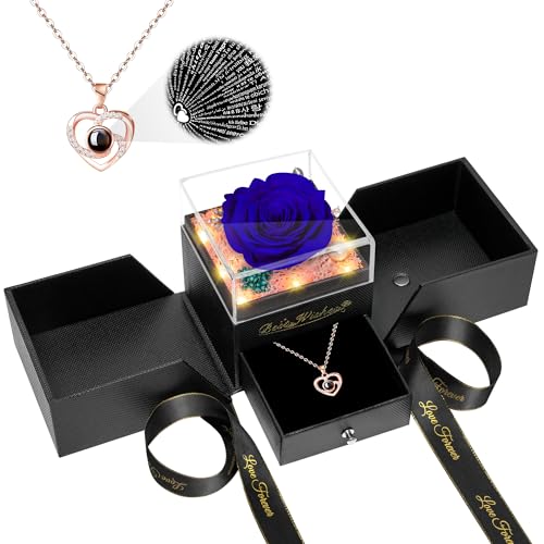 Preserved Red Rose Flower with Necklace and Light A868
