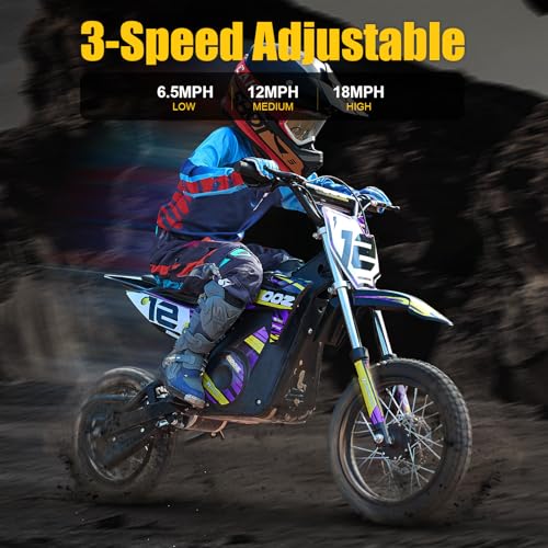 36V 1000W Electric Dirt Bike, 16" Tire, Purple L9373