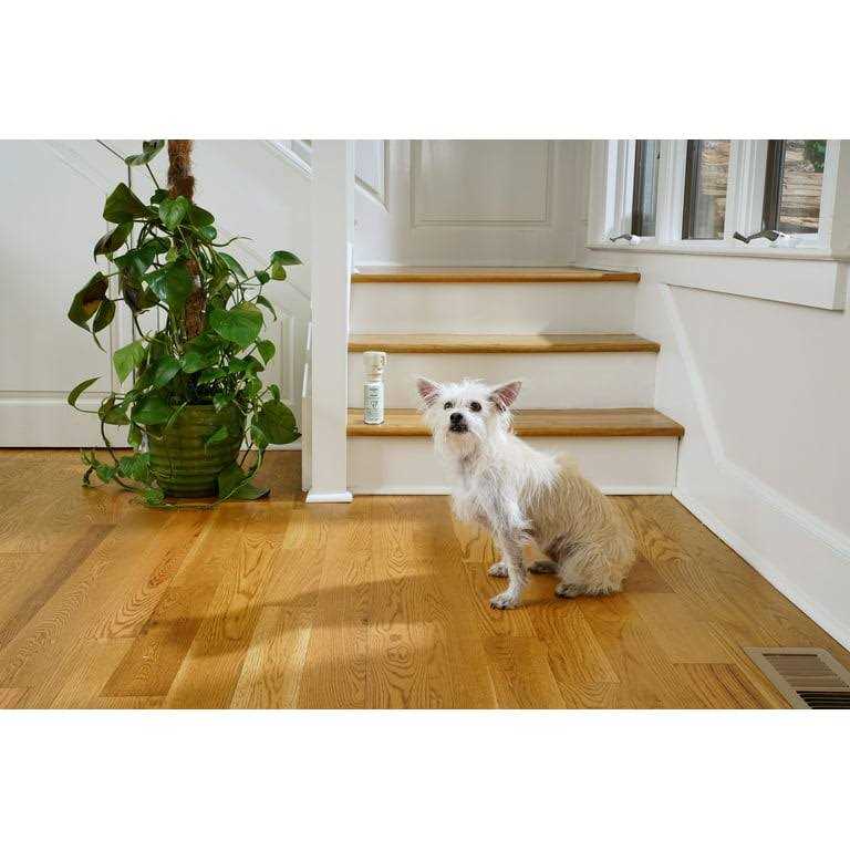 Pet Deterrent Spray V6112