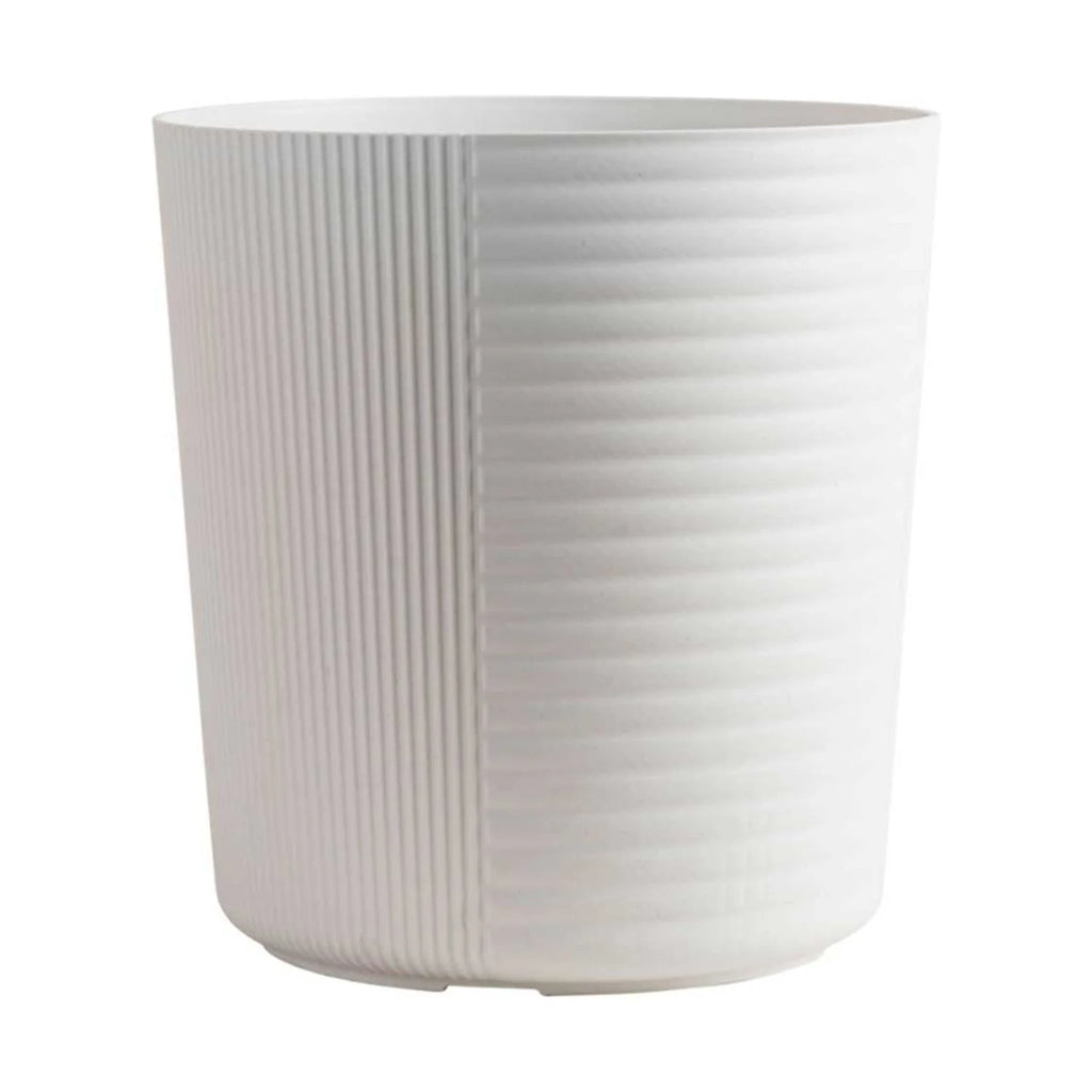 White Bird of Paradise Plant in White Pot L4460