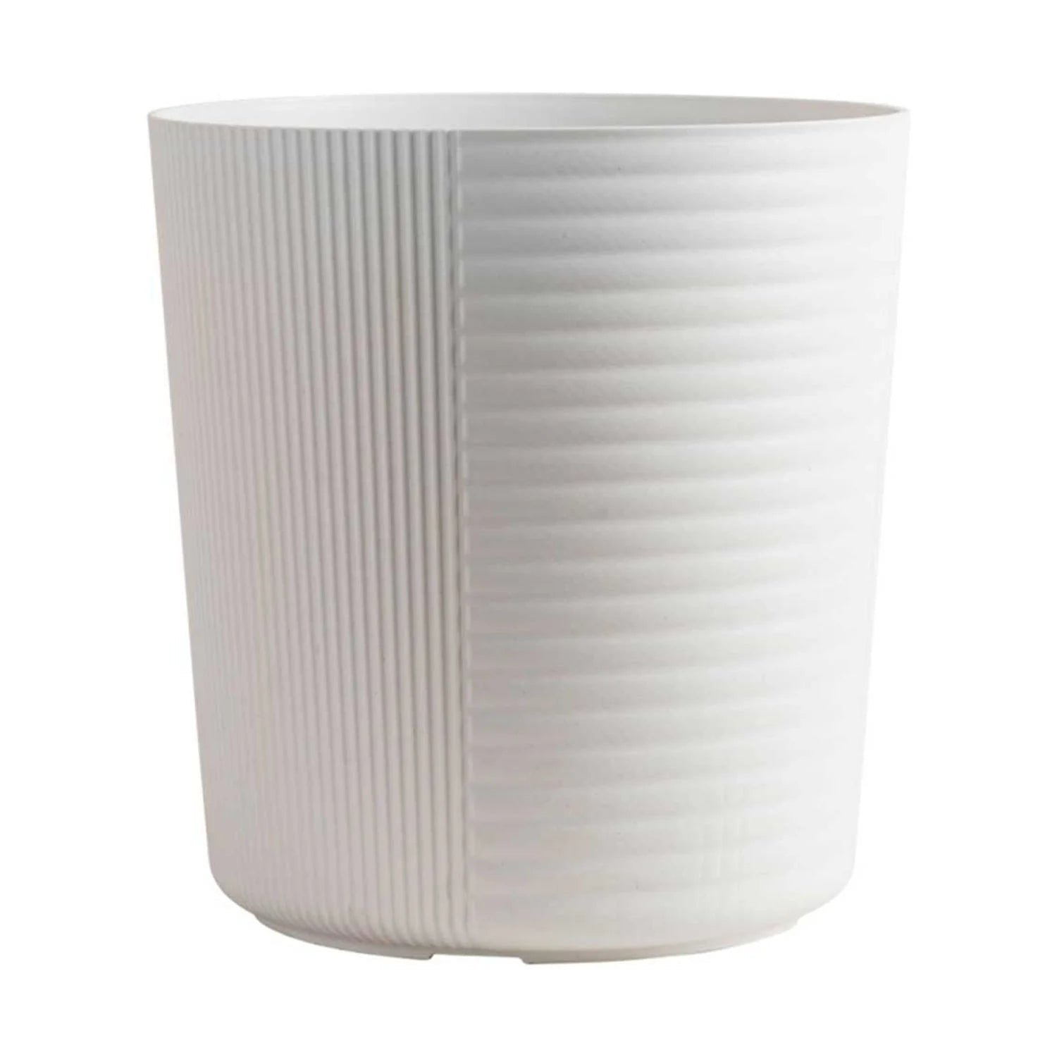 White Bird of Paradise Plant in White Pot L4460