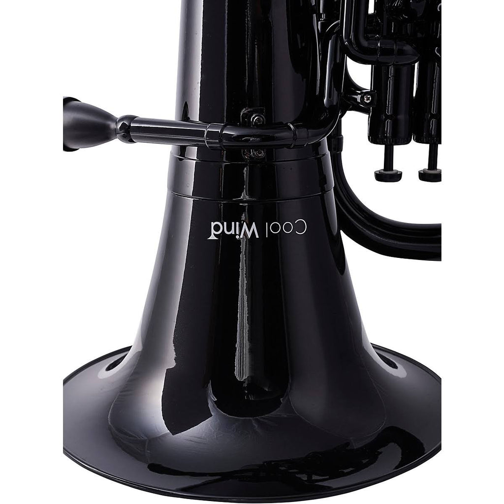 Black 4-Valve Plastic Euphonium X21458
