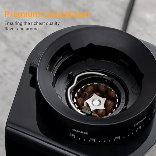 Electric Conical Burr Coffee Grinder Stainless Steel with Digital Timer Display Y49349