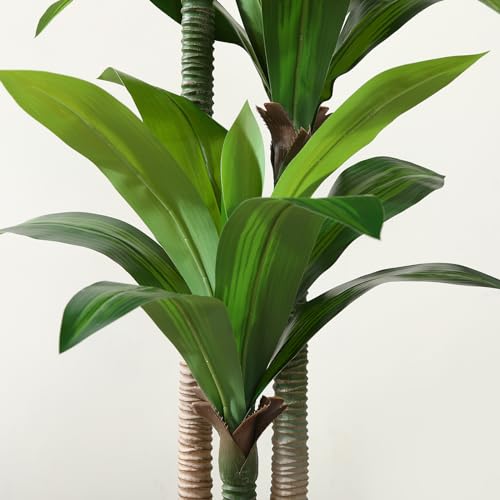 5ft Artificial Dracaena Tree with White Planter G360