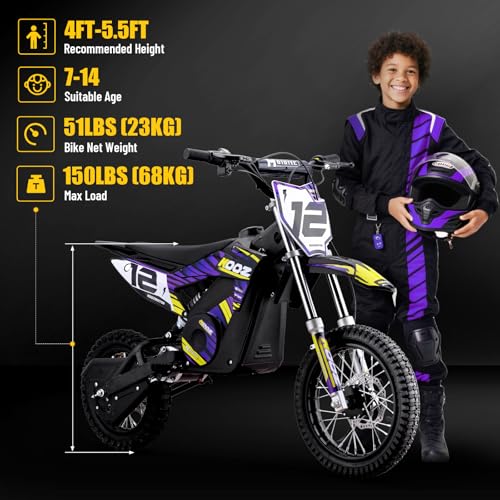 36V 1000W Electric Dirt Bike, 16" Tire, Purple L9373