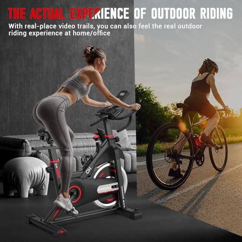 Indoor Cycling Bike with 330lbs Weight Capacity Y177