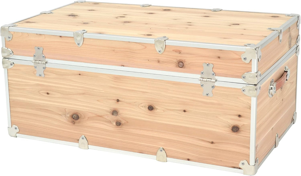 Large Trunk Y831