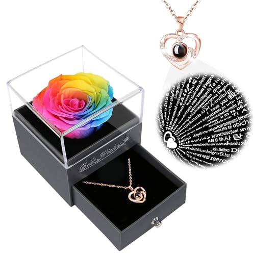 Preserved Red Rose Flower with Necklace and Light A868