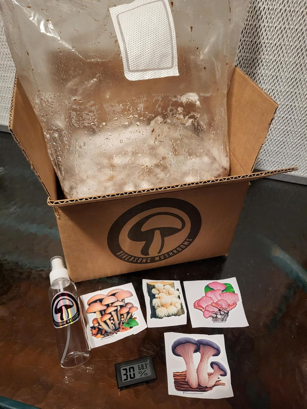 Lion's Mane Mushroom Grow Kit, XL/10lbs, White Z7944