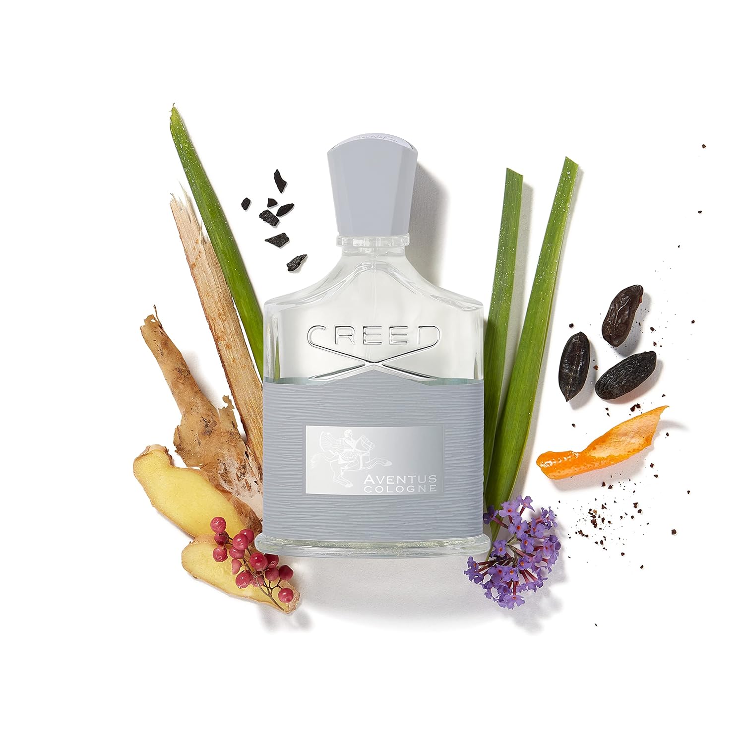 Woody Fresh Citrus & Fruity Fragrance Eau de Parfum, 100 ML Z9050