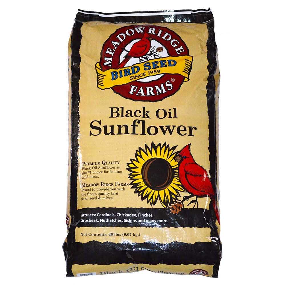 20-Lb. Black Oil Sunflower Bird Seeds L845198
