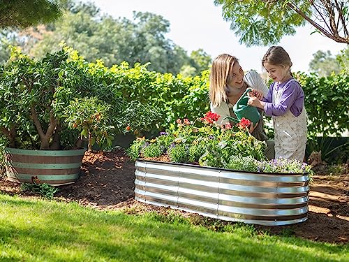 8×4×1 ft 2-Pack Galvanized Metal Raised Garden Bed P910