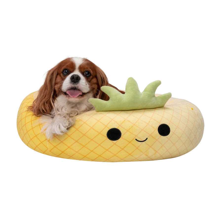 Maui The Pineapple Pet Bed I43968