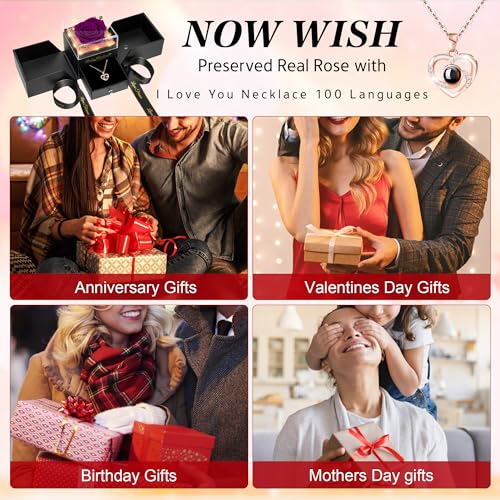 Preserved Red Rose Flower with Necklace and Light A868