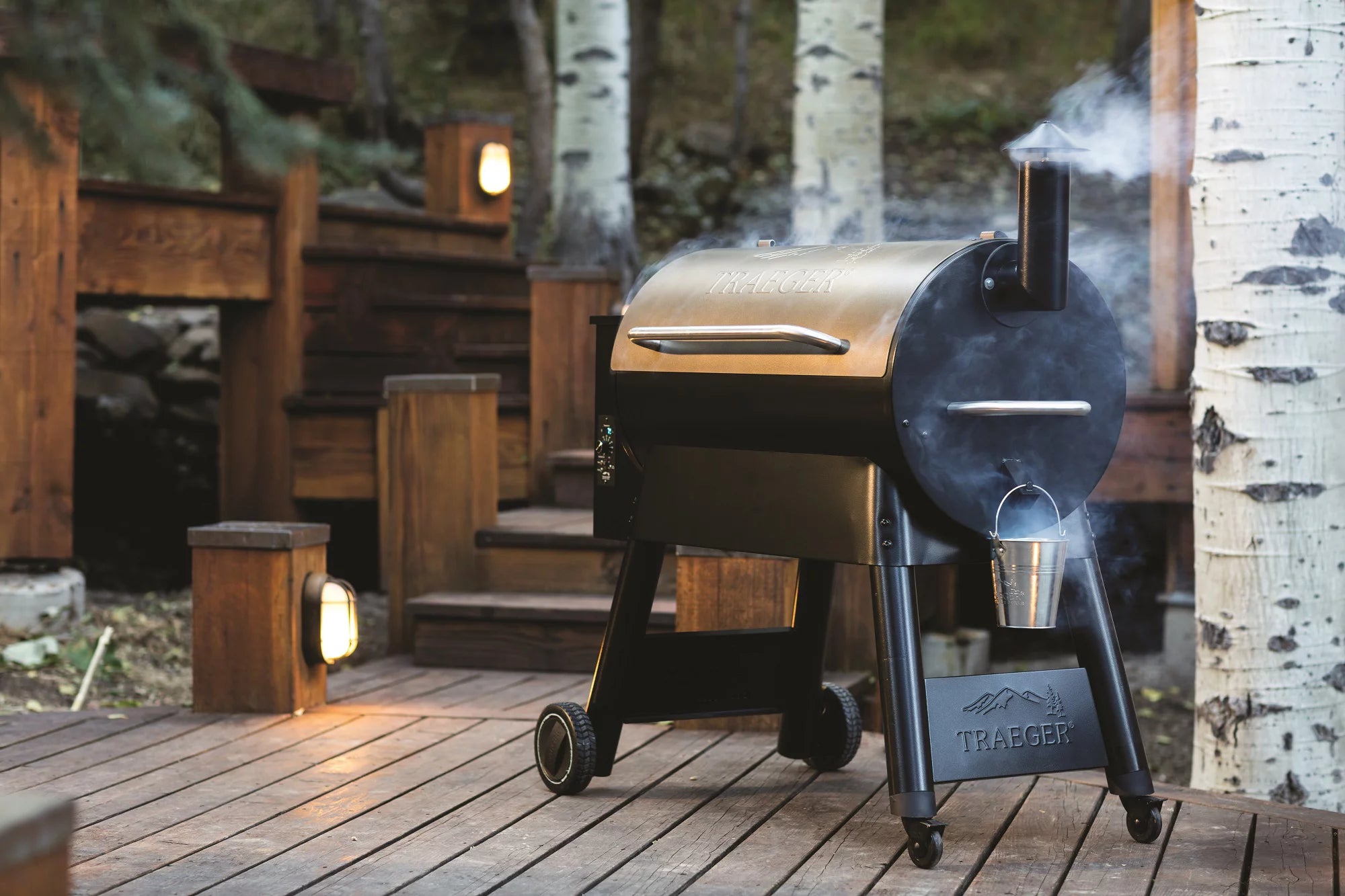 Bronze Wood Pellet Grill and Smoker B2751