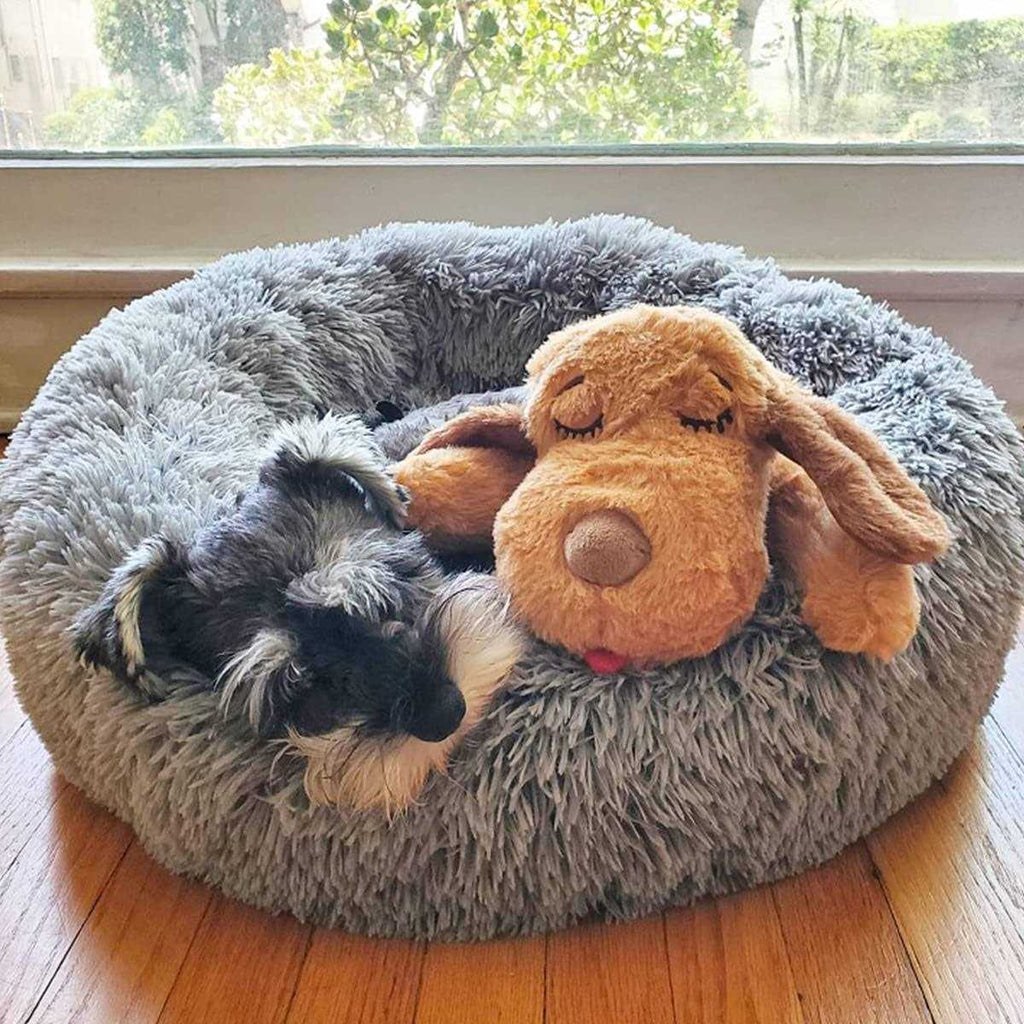 Snuggle Puppy Starter Kit F716