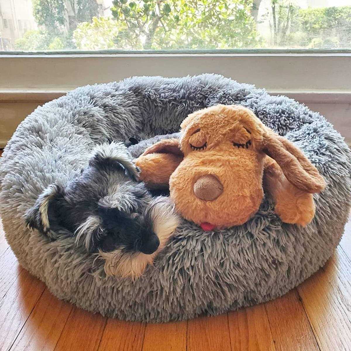 Snuggle Puppy Starter Kit F716