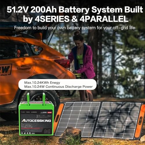 12V 100Ah LiFePO4 Lithium Battery with 100A BMS Z202