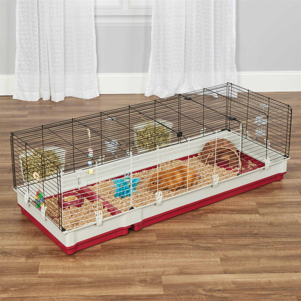 Rabbit Home F70304