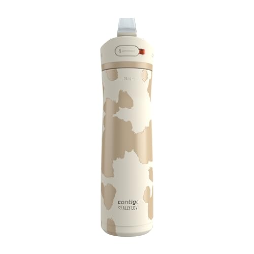 24oz Stainless Steel Water Bottle with Straw & Handle Dual Insulated (Pack of 2) Y310