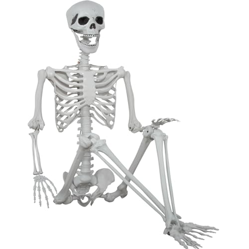 5.9ft Halloween Life Size Skeleton Plastic Human Bones with Movable Joints Q50339