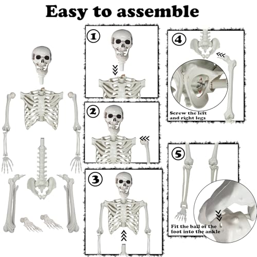 5.9ft Halloween Life Size Skeleton Plastic Human Bones with Movable Joints Q50339