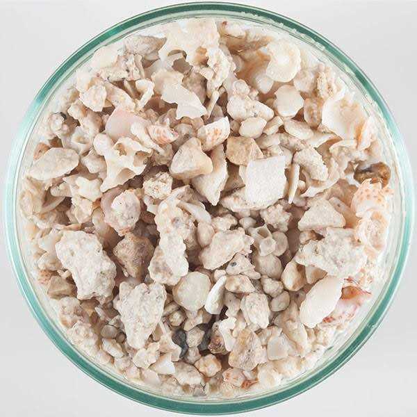 Crushed Coral B740593