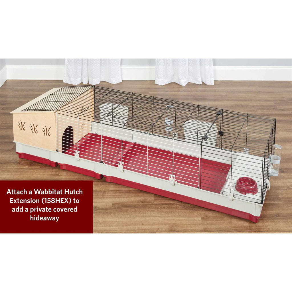 Rabbit Home F70304