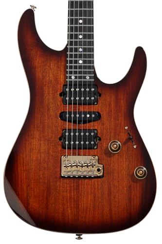 Dragon Eye Burst Electric Guitar E191