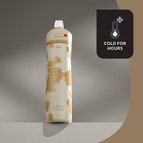 24oz Stainless Steel Water Bottle with Straw & Handle Dual Insulated (Pack of 2) Y310