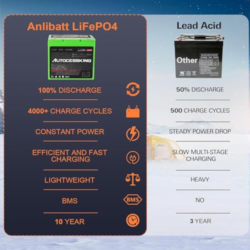 12V 100Ah LiFePO4 Lithium Battery with 100A BMS Z202