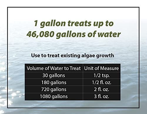 64oz Fast Acting Algaecide H7230