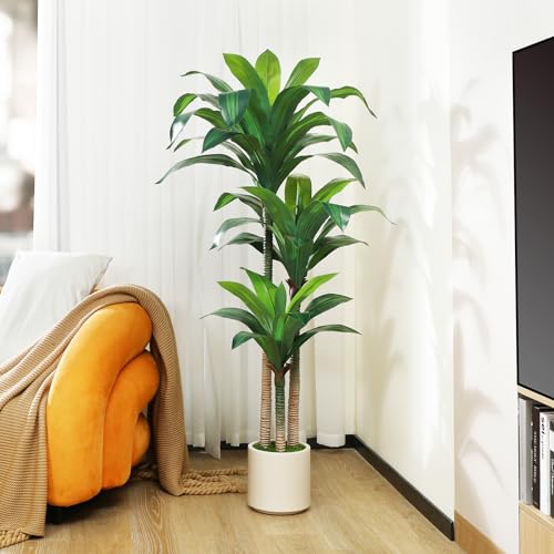 5ft Artificial Dracaena Tree with White Planter G360