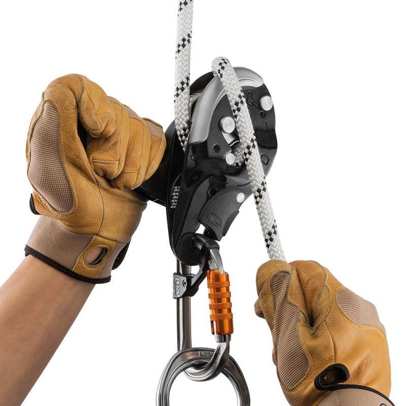 Black Descender F106286