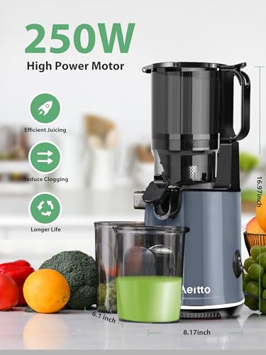 Black Masticating Juicer with 5.3" Wide Mouth 1.7L Capacity Q79908
